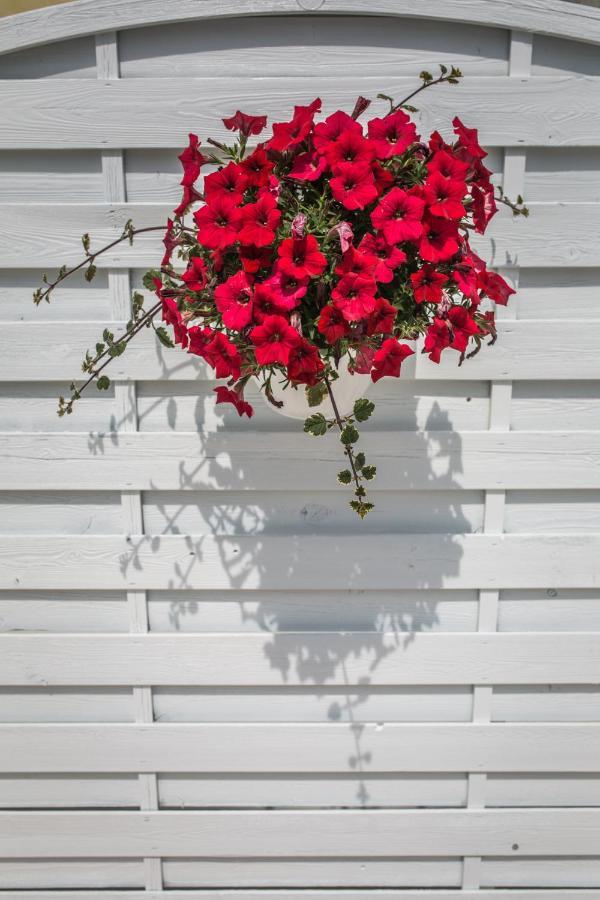 Appartamento Fronte Mare Villa Lory 리그나노 사비아도로 외부 사진